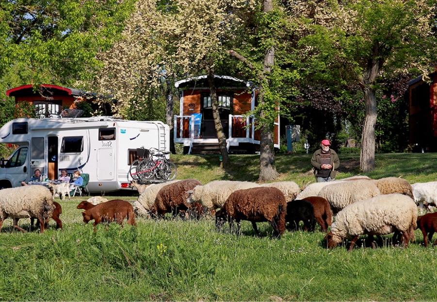Roulotte - Camping avec logement insolite dans le Loiret